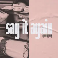 Spring Gang — You Got Issues (Feat. Amaranthine) — обложка